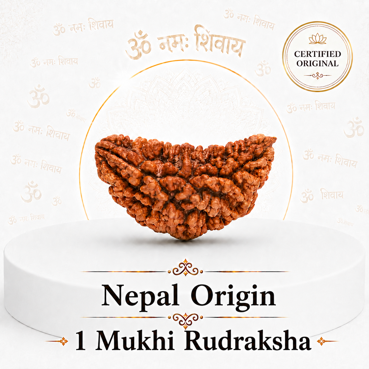 1 Mukhi Rudhraksha